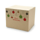 250x200x200 mm einwellige Kartons mit Weihnachtsmotiv