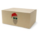 450x350x200 mm einwellige Kartons mit Weihnachtsmotiv
