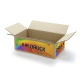 240x140x75 mm einwellige Kartons mit Digitaldruck