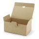 174x104x74 mm Automatik-Karton