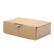 153x102x46 mm Maxibrief Karton