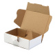 153x102x46 mm Maxibrief Karton, weiß