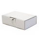153x102x46 mm Maxibrief Karton, weiß