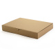 350x250x50 mm Maxibrief Karton (Außenmaß)