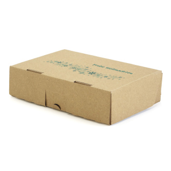182x112x45 mm Maxibrief Karton mit Weihnachtsmotiv