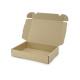 250x175x50 mm Maxibrief Karton (Außenmaß)