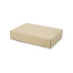 250x175x50 mm Maxibrief Karton (Außenmaß)